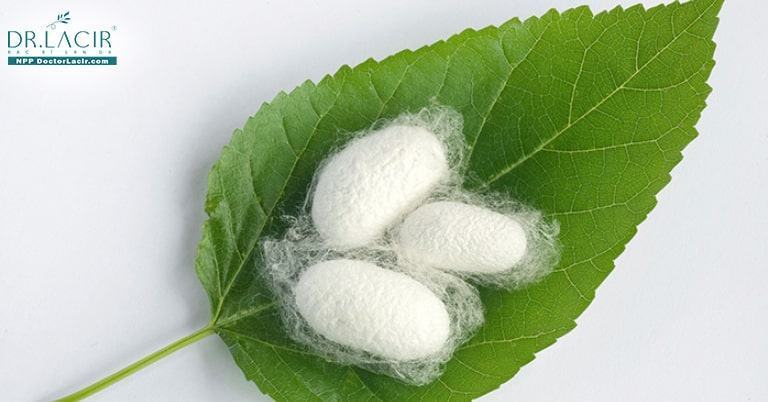 KÉN TẰM TRẮNG – NHÂN TỐ BÍ ẨN MANG LẠI LÀN DA ĐẸP